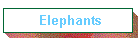 Elephants