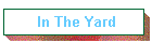 In The Yard